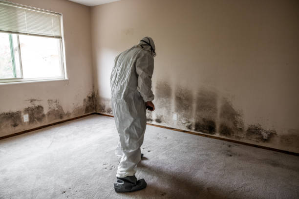 Best Home Mold Removal  in Cardington, OH