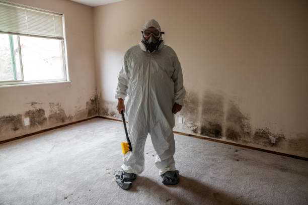 Best Mold Testing  in Cardington, OH